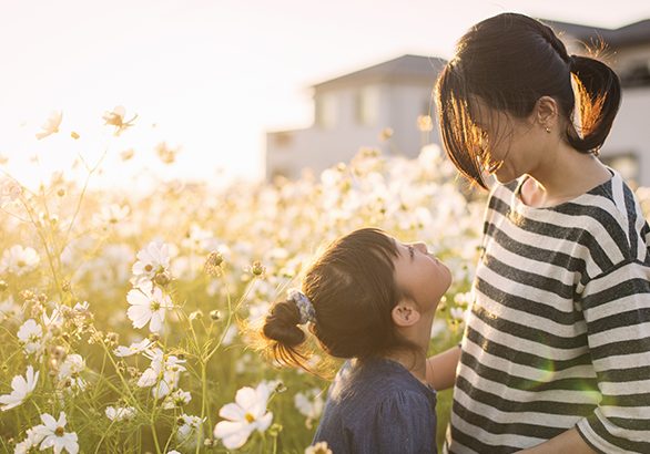 Sunset time,Mother and daughter with Cosmos flowers,Girl of 7 years old,Japanese family,Japan